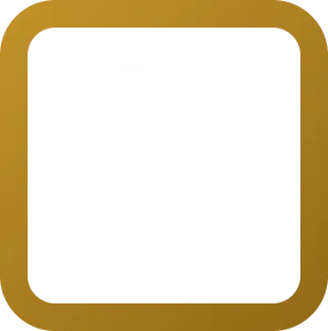 Security Icon